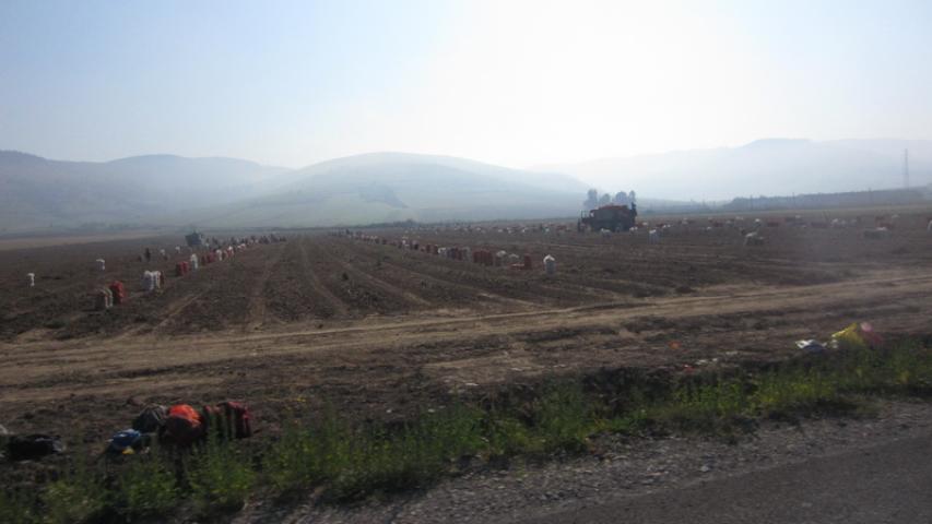 Augusztusi motorozás 20. nap