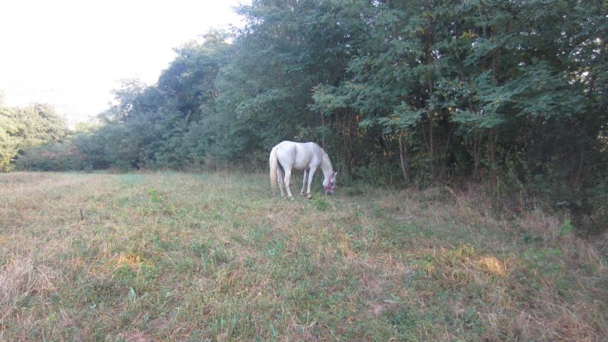 Szeptemberi motorozás 1-2. nap