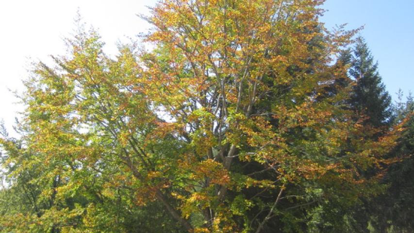 Szeptemberi motorozás 1-2. nap