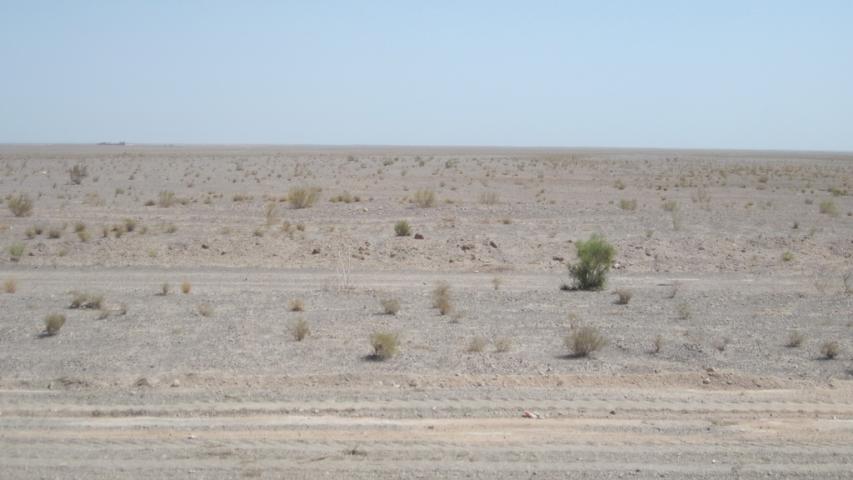 Augusztusi mocizás #12